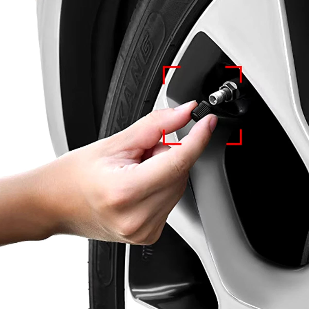 10/20/50/100Pcs Universal Tire Valve Stem Caps Dustproof Car Bike Motorcycle