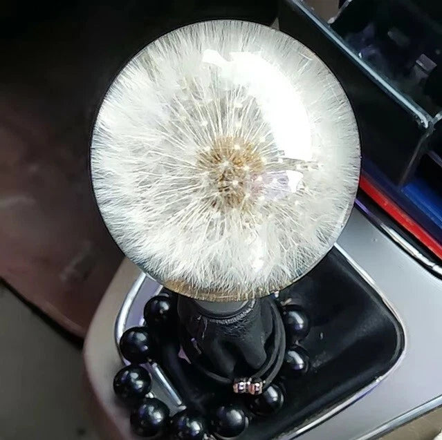 JDM Dandelion Flower Acrylic Gear Knob M81.25 M101.5 M101.25 M121.25 Universal